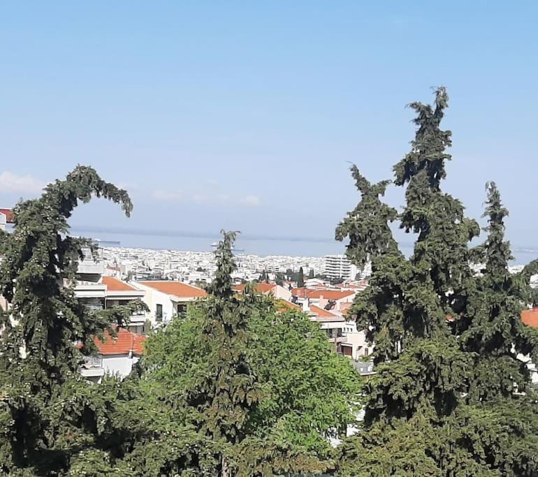 Όμορφο Διαμέρισμα- Σοφίτα Με Υπέροχη Θεα Saloniki Zewnętrze zdjęcie
